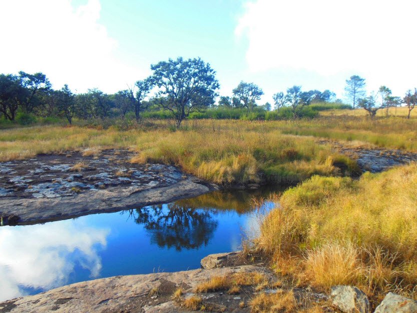 Phawngpui Blue Mountain National Park, Saiha, Mizoram - Vushii.com